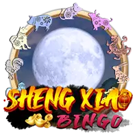 Sheng Xiao Bingo